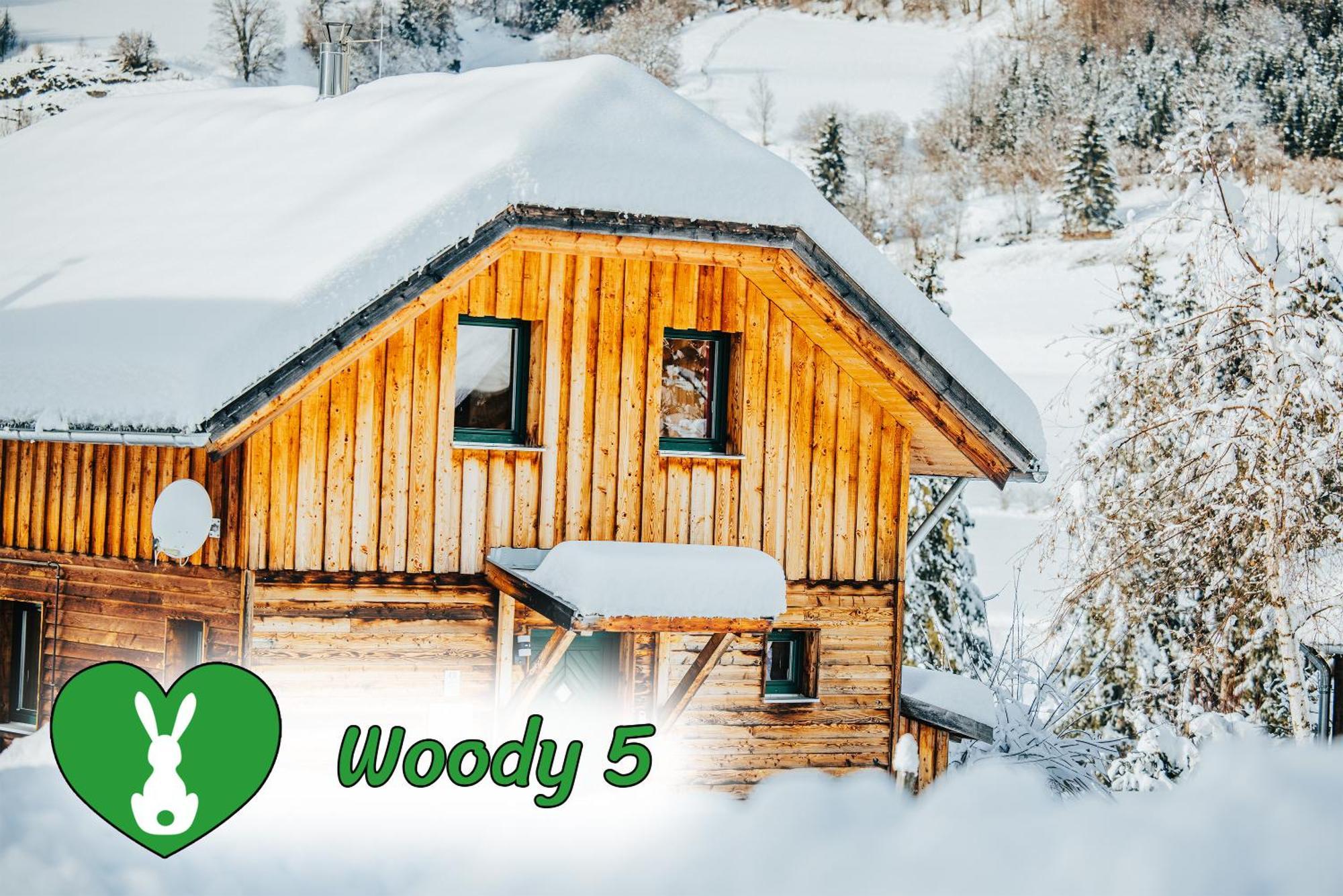 Villa Woody Park Sankt Georgen ob Murau Esterno foto