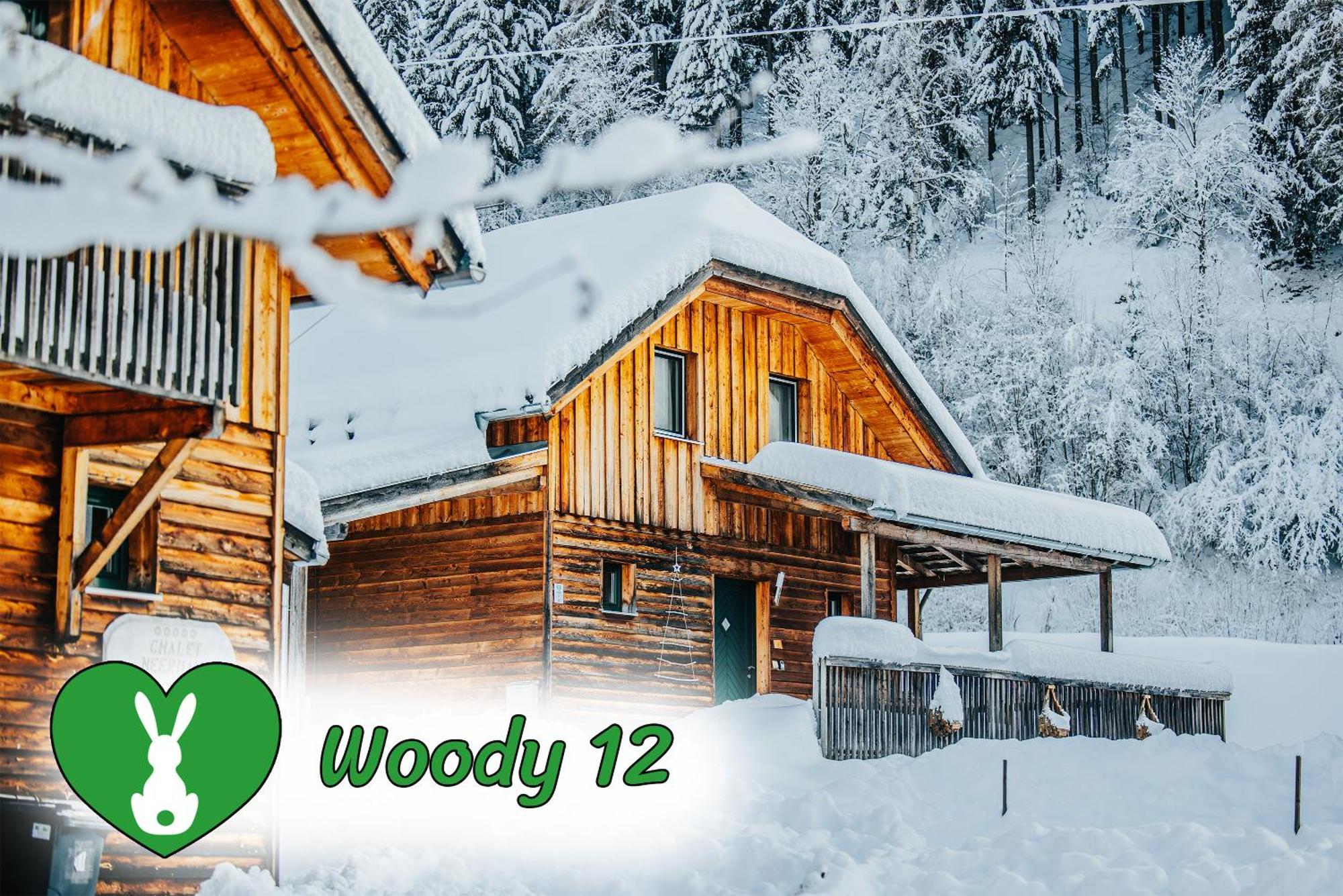 Villa Woody Park Sankt Georgen ob Murau Esterno foto
